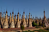 A view of the massive cluster of pagodas that make up the forest like Kakku pagoda complex. Shan State, Burma (Myanmar).